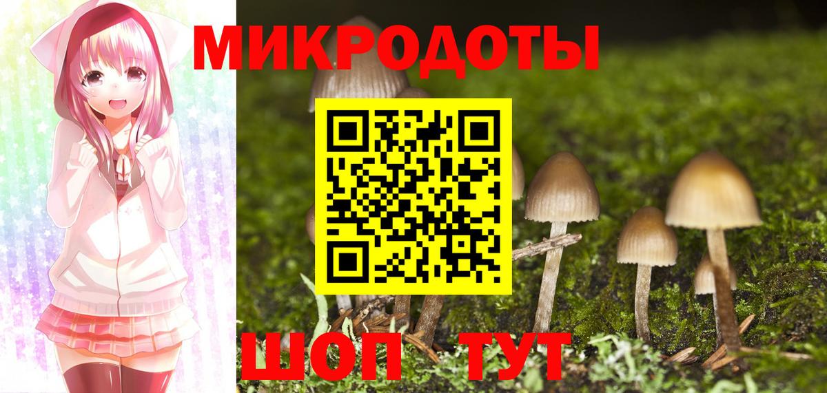 Псилоцибиновые грибы мицелий Северодвинск